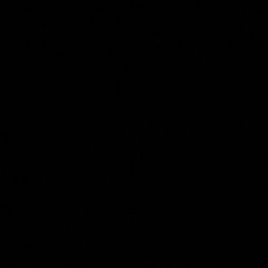 Meet your Posher, Julius